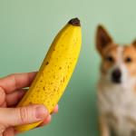Wenn die Banane dunkel wird: Was die reifen Punkte auf der Schale wirklich für Ihre Gesundheit bedeuten
